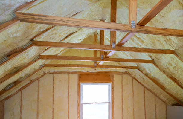 Best Attic Insulation Installation  in Manning, SC