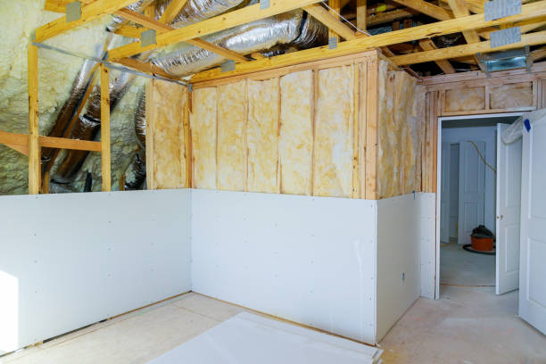 Best Insulation Replacement Services  in Manning, SC