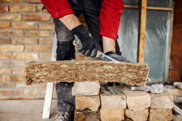 Best Home Insulation Services  in Manning, SC