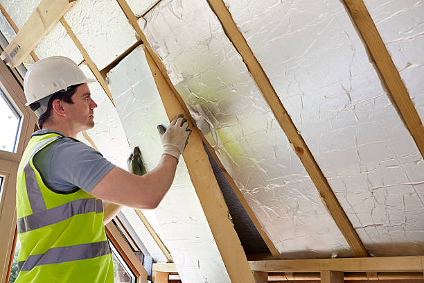 Best Fiberglass Insulation  in Manning, SC